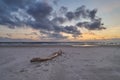 Scenic sunset over a beach of the Danish North Sea coast with an old trunk in the foreground Royalty Free Stock Photo