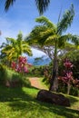 Scenic trail at Garden Of Eden Arboretum