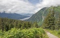 Scenic trail in Juneau Alaska