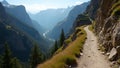 Scenic trail through mountain pass with sheer cliffs Royalty Free Stock Photo