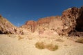 Scenic wadi in Eilat Mountains. Royalty Free Stock Photo