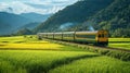 Scenic train rides through countryside landscapes. Royalty Free Stock Photo