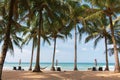 Scenic tropical beach with palm trees, hammock and chairs. Idyllic resort background. Empty resort while quarantine. Royalty Free Stock Photo