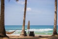 Scenic tropical beach with palm trees, hammock and chairs. Idyllic resort background. Empty resort while quarantine. Royalty Free Stock Photo