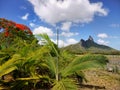 Scenic Tropical Mauritius Island, Indian Ocean Royalty Free Stock Photo