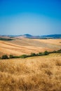 Scenic Tuscan Summer in Santa Luce, Pisa, Tuscany, Italy