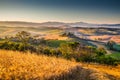 Scenic Tuscany landscape at sunrise, Val d'Orcia, Italy Royalty Free Stock Photo