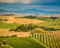 Scenic Tuscany landscape at sunset, Val d'Orcia, Italy Royalty Free Stock Photo