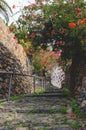 Scenic upward street of Masca village Royalty Free Stock Photo