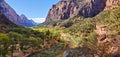 Zion Canyon Morning From Emerald Pools Trail Royalty Free Stock Photo