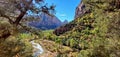 Zion Canyon Morning From Emerald Pools Trail Royalty Free Stock Photo