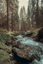 Scenic vertical low angle shot of a stream in the middle of the forest