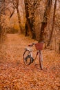 Scenic vertical shot of a cute bicycle with a basket in a park with beautiful autumn trees