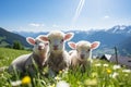 Scenic view of adorable little sheep grazing freely in the picturesque alpine meadows