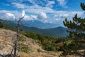 Scenic view from Ai-Petri mountain with low pines, mountain range and cloudy sky