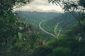 Scenic view of Aiea Loop Trail with Camilla, Oahu, Hawaii near H3 freeway