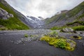 Scenic view of Alaskan landscape early fall mountains in the back Royalty Free Stock Photo