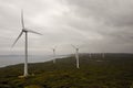 A scenic view of Albany Wind Farm in a cloudy weather Royalty Free Stock Photo