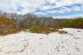 Winter Scene at Honeymoon Island State Park, Florida