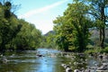 Sunlit view along a calm but rocky river that runs between trees