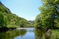 A scenic sunlit view along a calm river among green trees and under blue sky