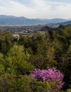 Scenic view along Shikoku coastline on the outskirts of Saijo city Royalty Free Stock Photo