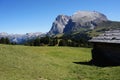 Scenic view of alp de siusi with distinctiv langkofel group Royalty Free Stock Photo