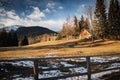Scenic view in alpine forest mountains with isolated wooden chalet house in idyllic sunny winter environment, pokljuka, slovenia Royalty Free Stock Photo