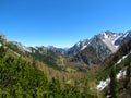 alpine valley at Zelenica in Karawanks, gorenjska, Slovenia covered in coniferous forest