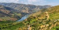 Scenic view of Alto Douro Vinhateiro, Portugal Royalty Free Stock Photo