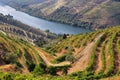 Scenic view of Alto Douro Vinhateiro, Portugal Royalty Free Stock Photo