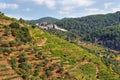 Scenic view of Alto Douro Vinhateiro, Portugal Royalty Free Stock Photo