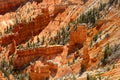 Scenic view of amazing red sandstone hoodoos in Bryce Canyon National Park in Utah, USA Royalty Free Stock Photo