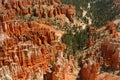 Scenic view of amazing red sandstone hoodoos in Bryce Canyon National Park in Utah, USA Royalty Free Stock Photo