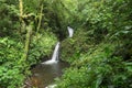 A scenic view of the amazonian jungle waterfall