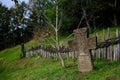 Scenic view of an ancient serbian tombstone in a forest