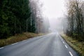 Scenic view of an asphalt road in a foggy forest in Toten, Norway in late October Royalty Free Stock Photo