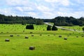 Scenic view of asphalt road near a green field of hay bales in the countryside Royalty Free Stock Photo