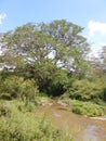 Scenic view of Athi River in Nairobi National Park, Kenya Royalty Free Stock Photo