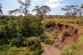 Scenic view of Athi River at Nairobi National Park, y Royalty Free Stock Photo