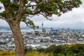 Scenic view of Auckland skyline with trees in foreground, New Zealand