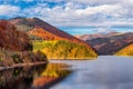 Autumn colored forest reflecting to alpine lake in Transylvanian Alps during warm October light against dramatic sky Royalty Free Stock Photo