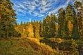 Scenic view of autumn forest, blue sky, bright colorful autumn, beautiful landscape on a sunny day Royalty Free Stock Photo