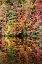 Scenic view of autumn trees on Lake Fairfield, western North Carolina mountains Royalty Free Stock Photo