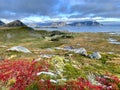 scenic view on autumnal landscape in norway with bright red foliage