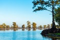 Scenic view of the Bayous in Louisiana Royalty Free Stock Photo