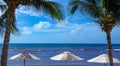 Scenic view of beach umbrellas under palm trees on a sunny day in Cancun, Mexico Royalty Free Stock Photo