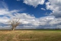 Scenic view of the Bear Lake, located in the border of the Utah and Idaho States Royalty Free Stock Photo