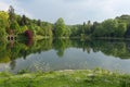 Beautiful Forest Lake and Grass Shore Royalty Free Stock Photo