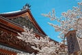 Scenic view of beautiful cherry blossoms Sakura under blue clear sky in Nanzen-ji